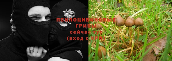 jwh Алзамай
