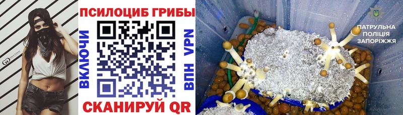 Псилоцибиновые грибы Magic Shrooms  Кропоткин 